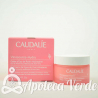 Caudalie Vinosource Hydra Gelcream Agua de Uva Hidratante