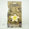 Oli and Carol Chewy-To-Go Chupete Mordedor Hawaii the Flower
