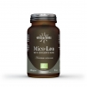 Hifas da Terra Mico Leo