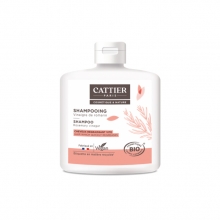 Champú cabello graso Vinagre de Romero de Cattier 250ml