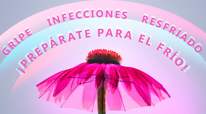 &iexcl;Fortalece tus defensas con la equin&aacute;cea!